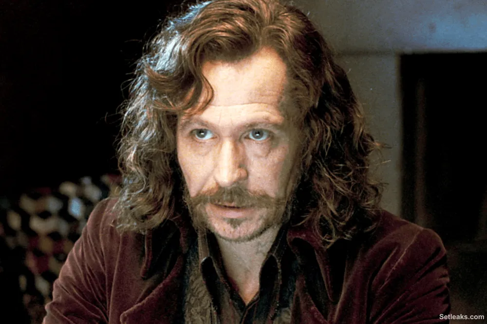 Gary Oldman Calls His Harry Potter Acting 'Mediocre' as ...