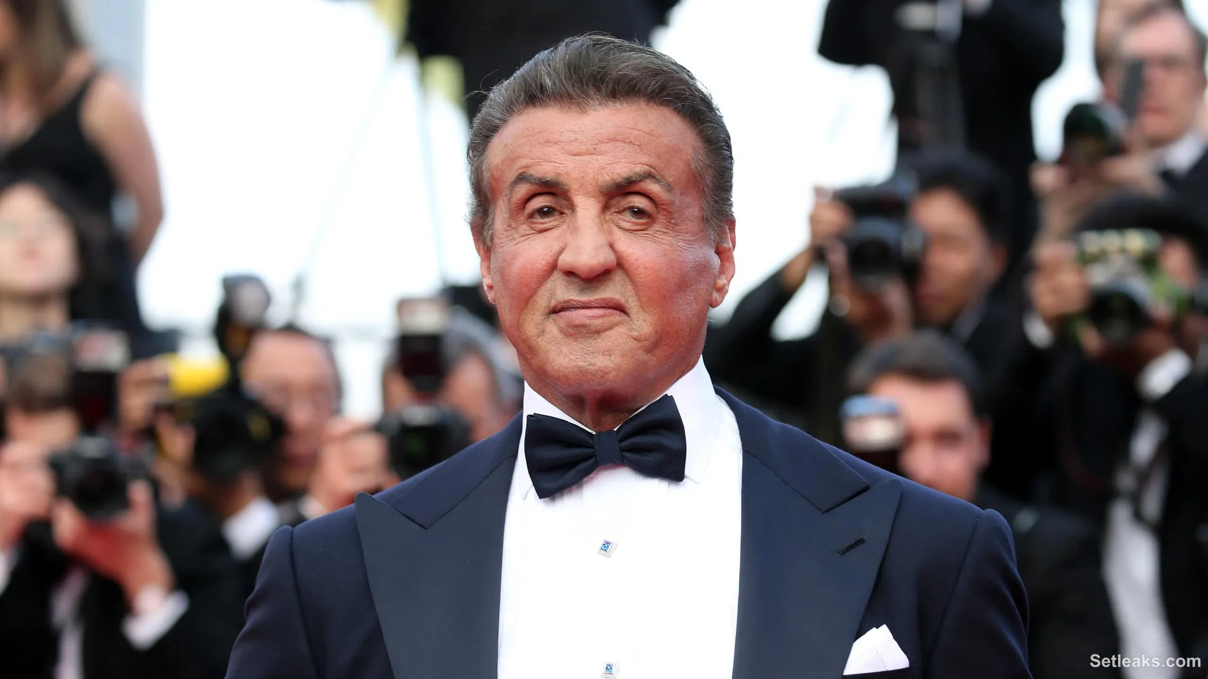 Sylvester Stallone : Ses 30 meilleurs films à voir et à revoir