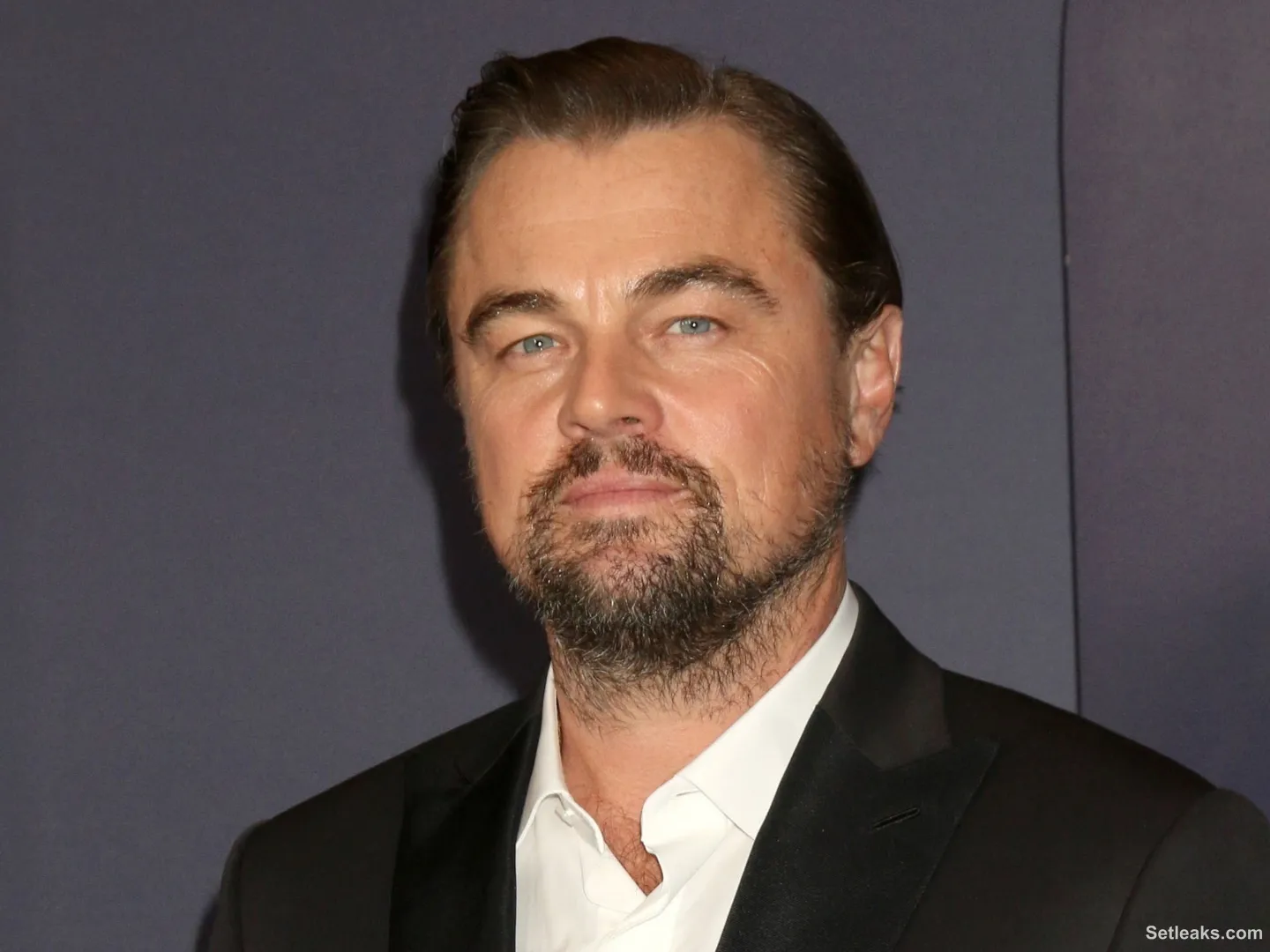 Actor Leonardo DiCaprio pledges $1 million to organizations assisting ...