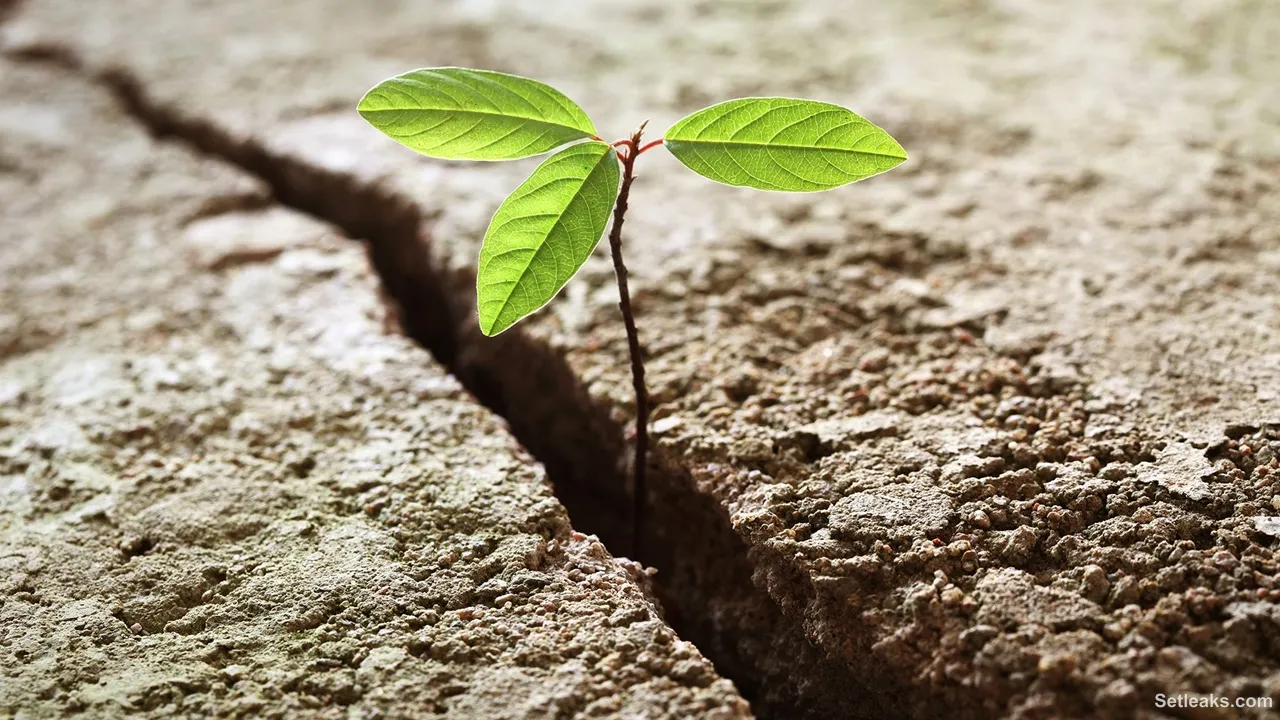 Hope is the key to a meaningful life, according to new research
