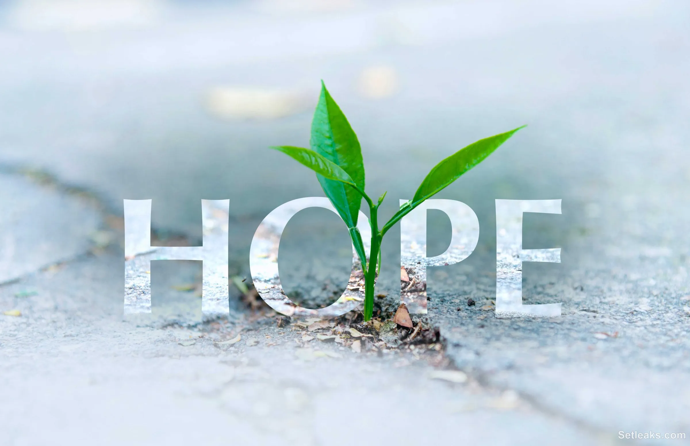 Hope - Bellator Christi
