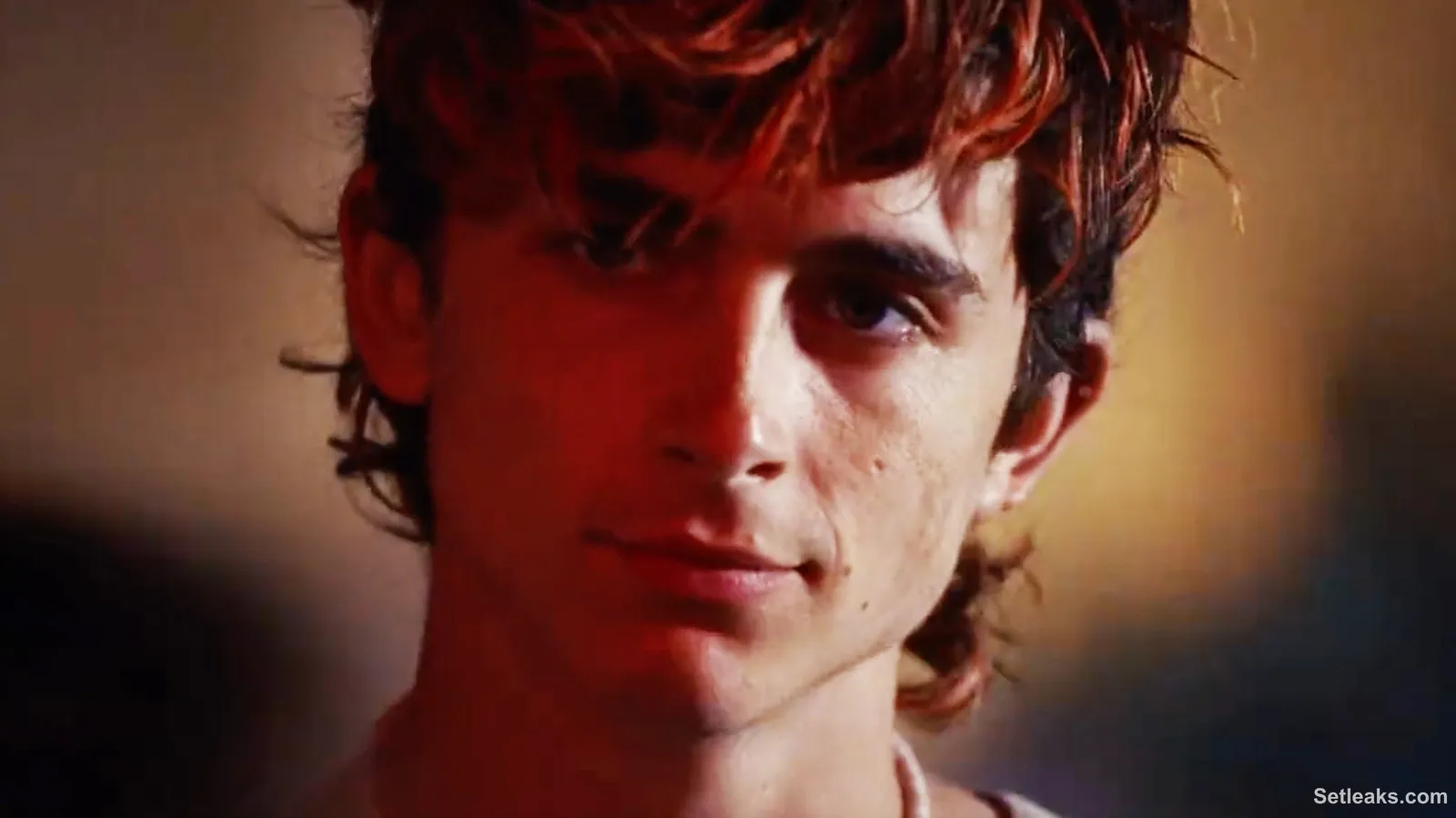 The 12 Best Timothée Chalamet Movies, Ranked