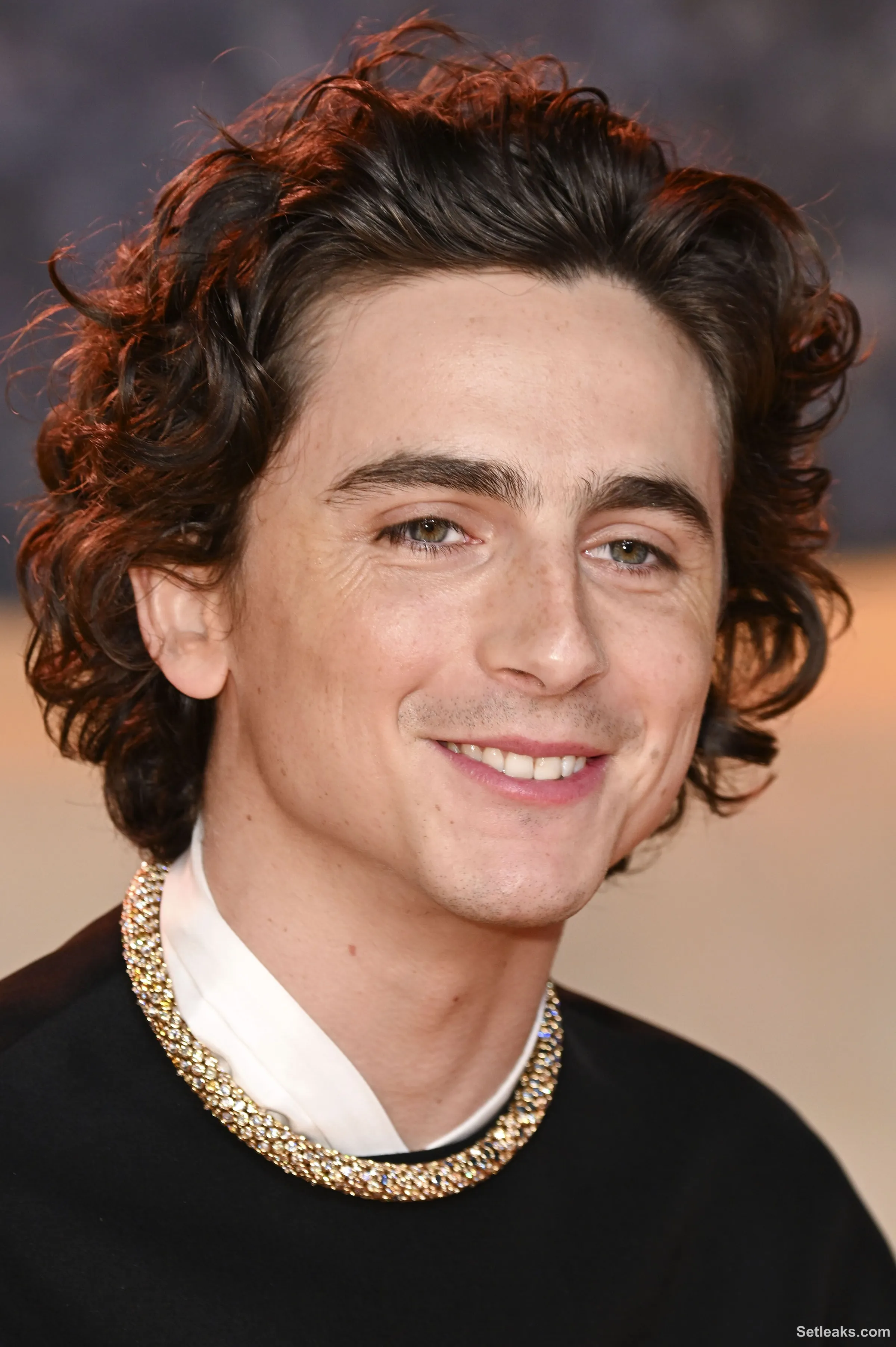 Timothée Chalamet Videos: Timothee Chalamet Full Movie - ZZGH