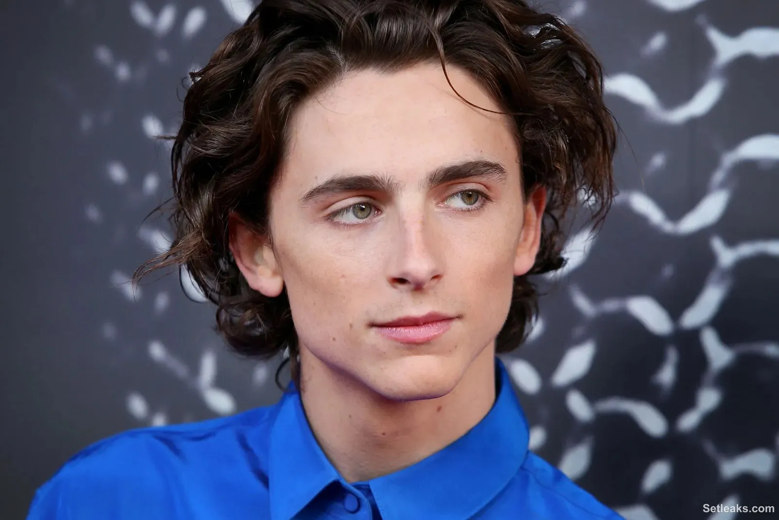 50 Facts About Timothee Chalamet - Facts.net