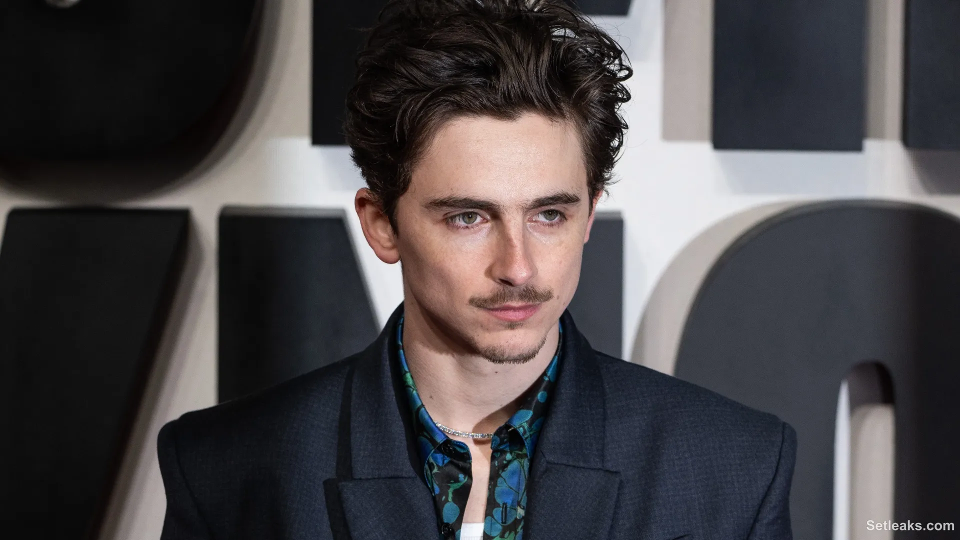 Timothée Chalamet scores two Best Picture noms at Oscars 2025