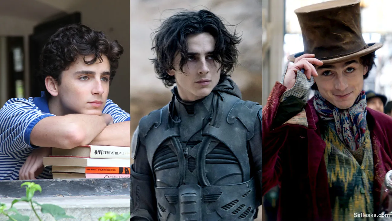 10 Most Popular Timothée Chalamet Movies