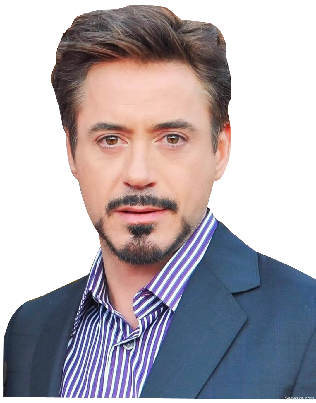 Robert Downey Jr, Digital Art, Celebrity Portrait PNG