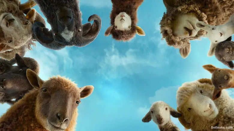 On set — The Sheep Detectives
